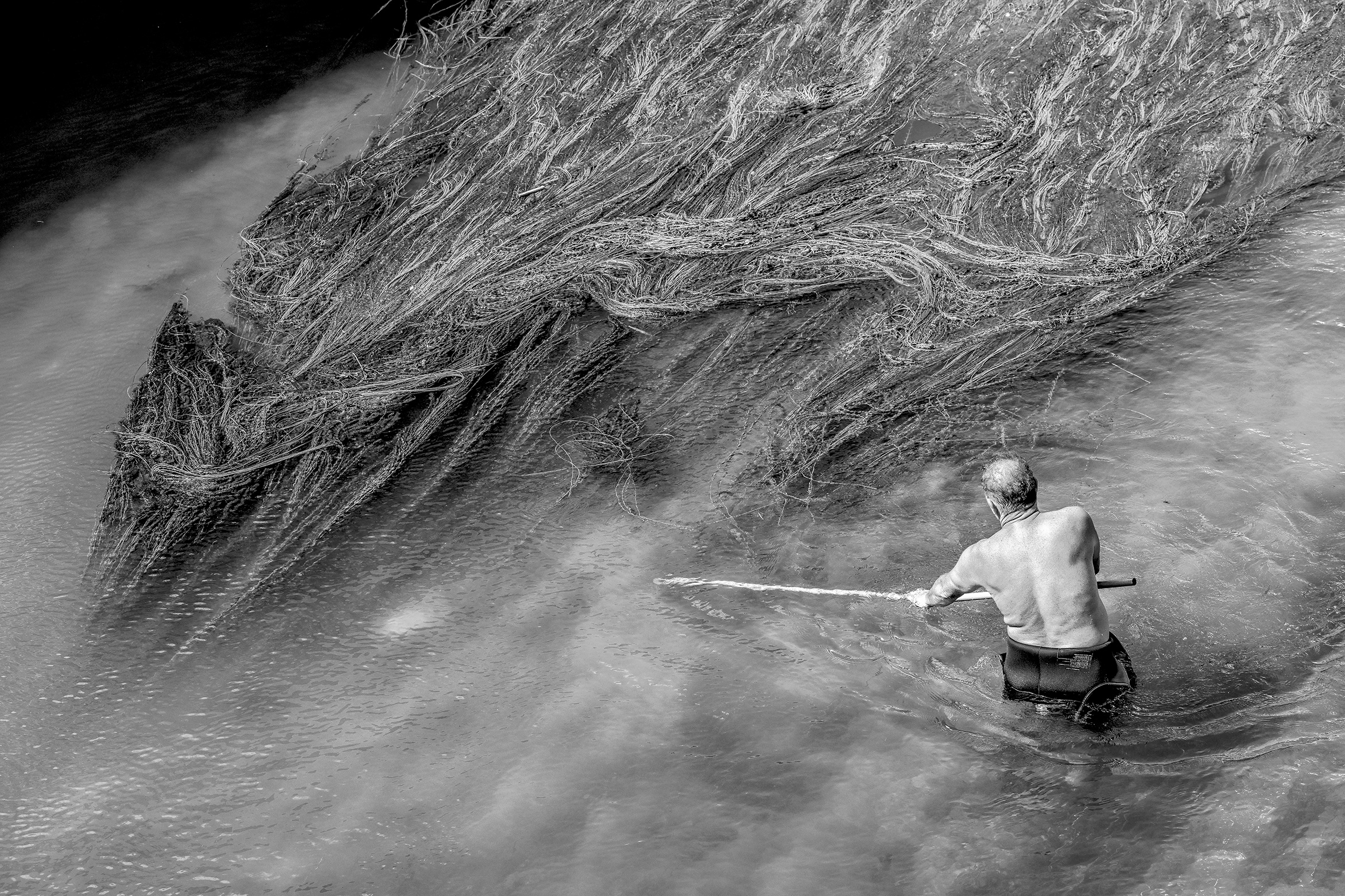 Tomislav Georgiev Capturing the Essence of Life